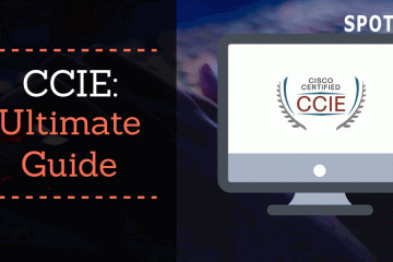 What Skills Are the Necessary Skills for CCIE?