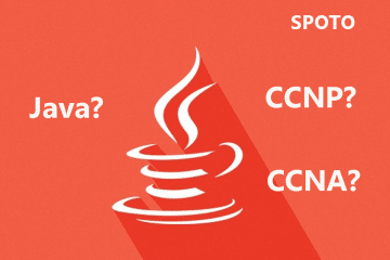 What Should I Prefer: Java Programming or CCNA-CCNP?