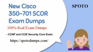 New 350-701 Exam Preparation