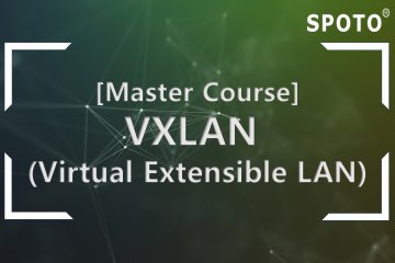 Introduction to Virtual Extensible LAN (VXLAN) You Should Study in CCIE LAB
