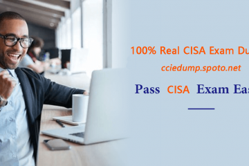 Is CISA certification worth doing for IT auditing?