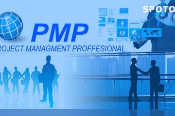 How does the PMI institution verify my experience?