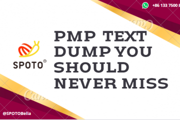The Greatest 2022 PMP Practice Text Dump You Should Never Miss