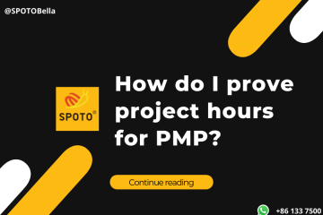 How do I prove project hours for PMP?