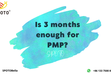 Is 3 months enough for PMP?