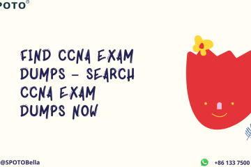 Find CCNA Exam Dumps – Search CCNA Exam Dumps Now