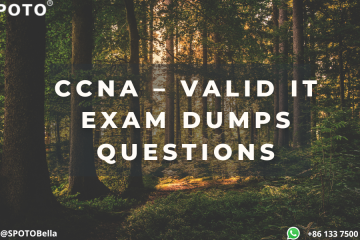 CCNA – Valid IT Exam Dumps Questions