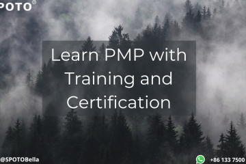 Learn PMP with Training and Certification