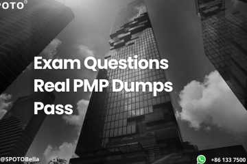 Exam Questions | Real PMP Dumps | Pass
