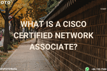 What is A Cisco Certified Network Associate?