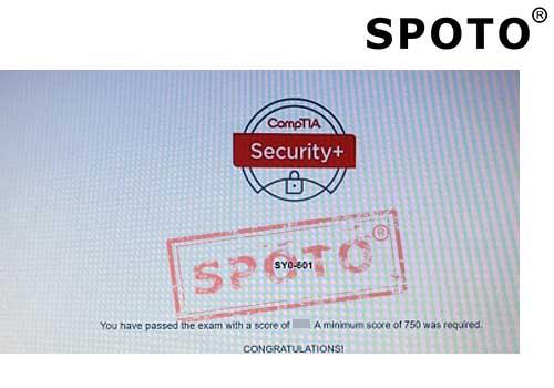 Exam SAA-C02 Simulator Online